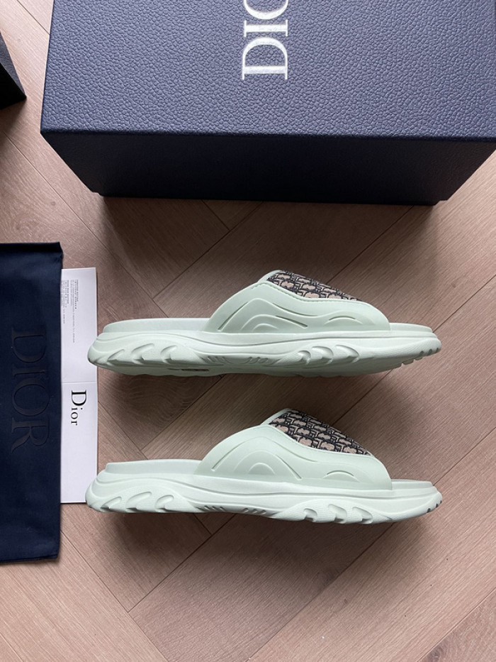 D1R* SLIDE copshoe  DR-SLIDE 008