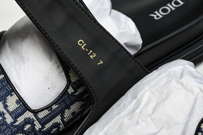 D1R* SLIDE copshoe  DR-SLIDE 013