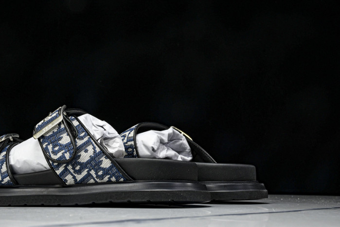 D1R* SLIDE copshoe  DR-SLIDE 013