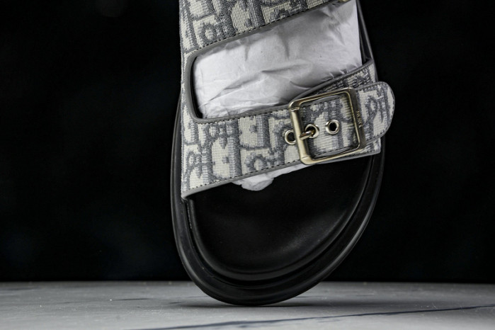 D1R* SLIDE copshoe  DR-SLIDE 014