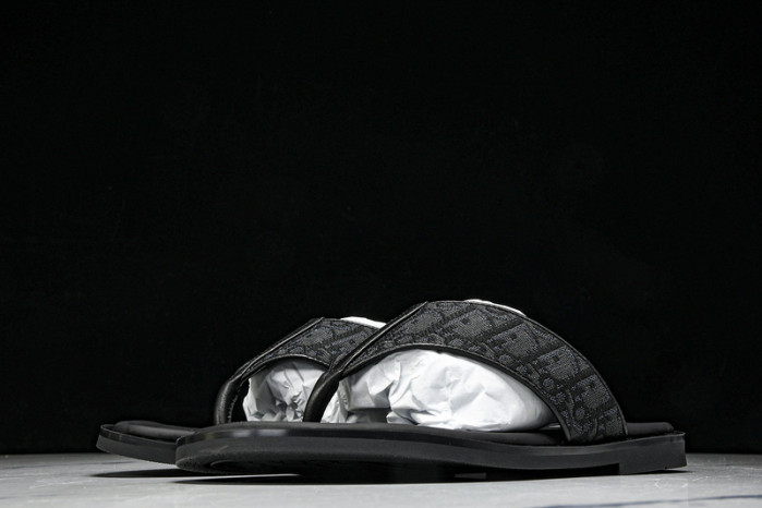 D1R* SLIDE copshoe  DR-SLIDE 017