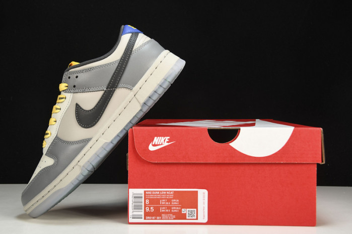 Nike Dunk Low North Carolina A&T - DR6187-001