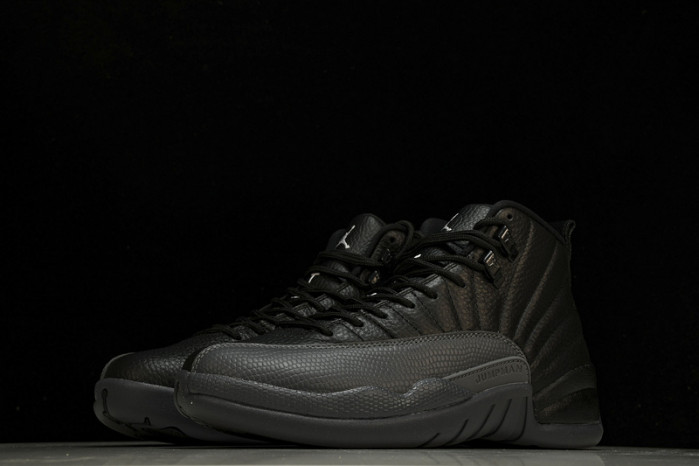 Air Jordan 12 Black Wolf Grey CT8013-019