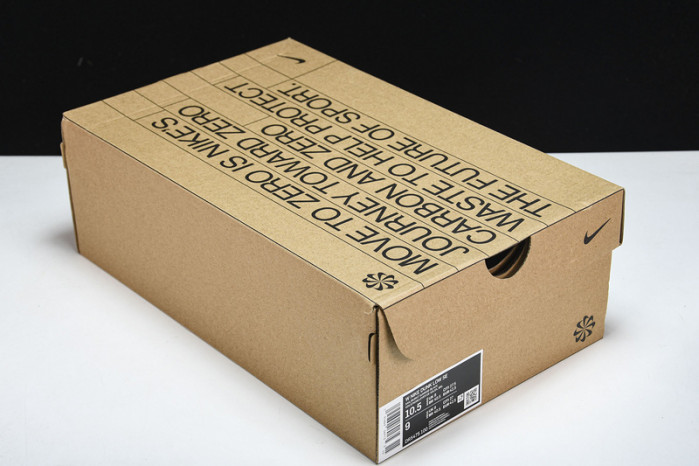 Nike Dunk Low Retro Sun Club Burn Sunrise (W)  DR5475-100