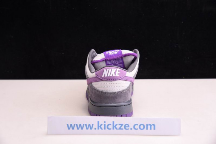 NIKE DUNK SB LOF PURPLE PIGEON 304292-051