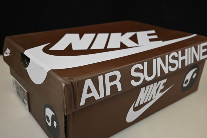 Nike CPFM Flea 1 Cactus Plant Flea Market Desert Moss  DM0430-700