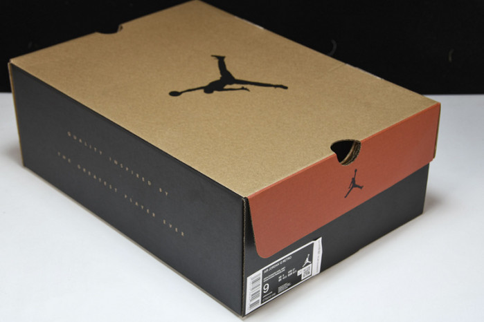 Air Jordan 12 Stealth CT8013-015