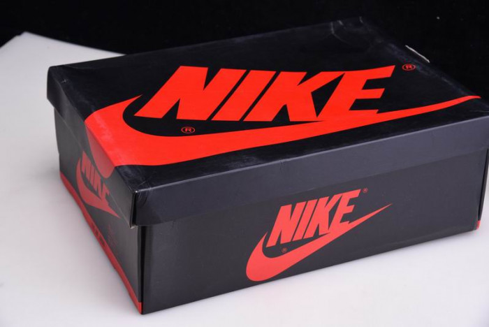 Air Jordan 1 Japan Neutral Grey Metallic Silver DC1788-029